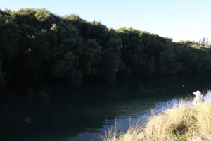 2025-06-21 Bartons Park - IMG_2549_compressed_q50.webp